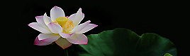 芜湖妇科医院